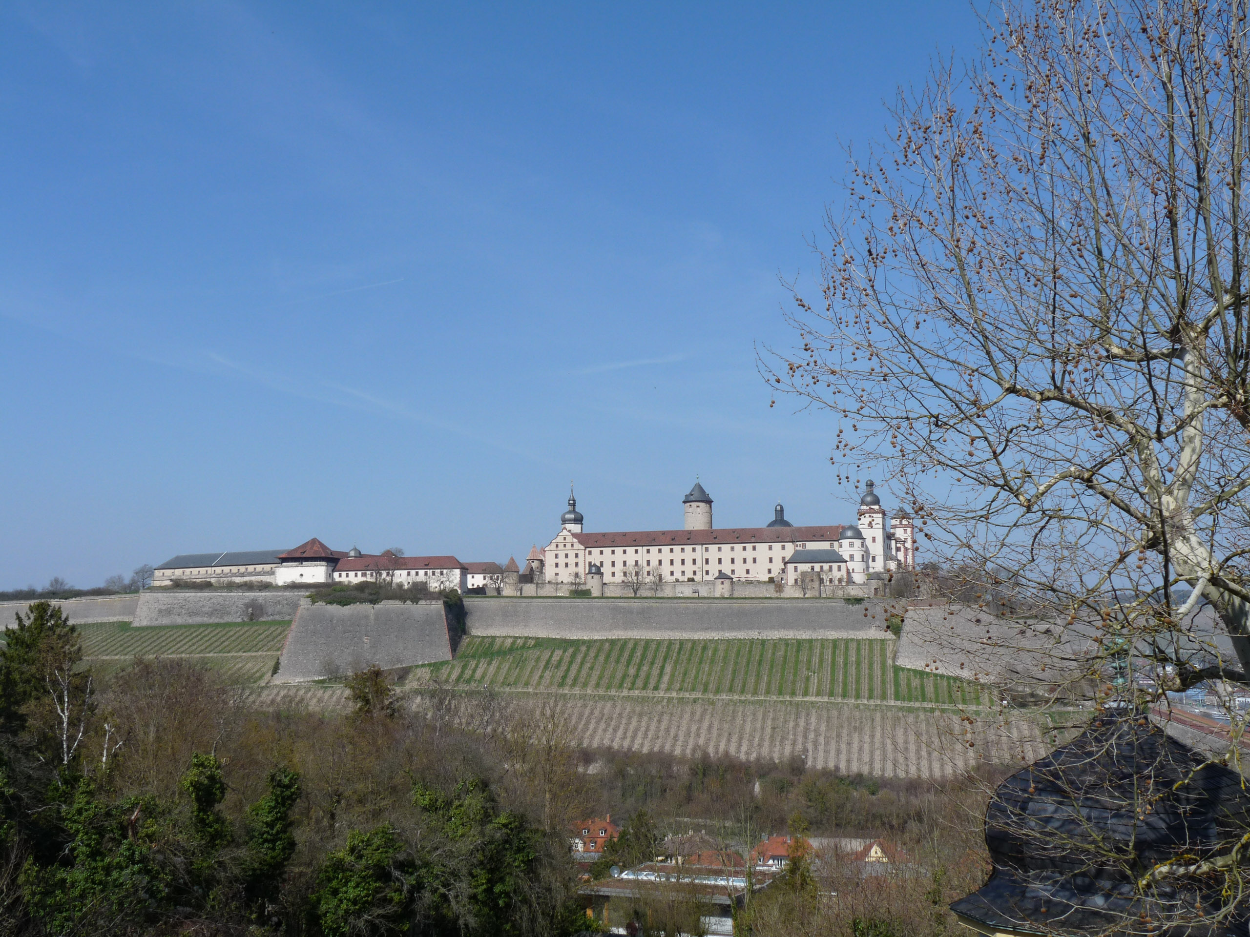 20190330131750 P1120324